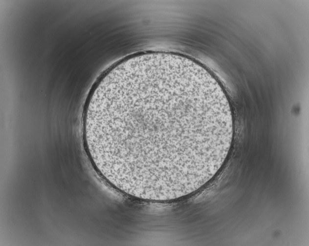 X0000097640848200803211831