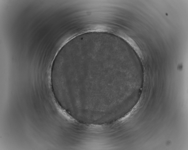 X0000097640850200803211831