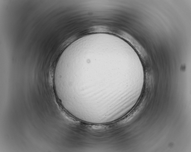 X0000097640857200803211831