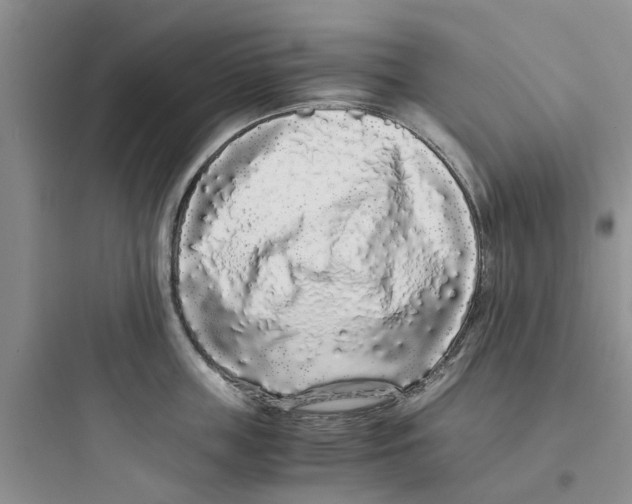 X0000097640859200803211831