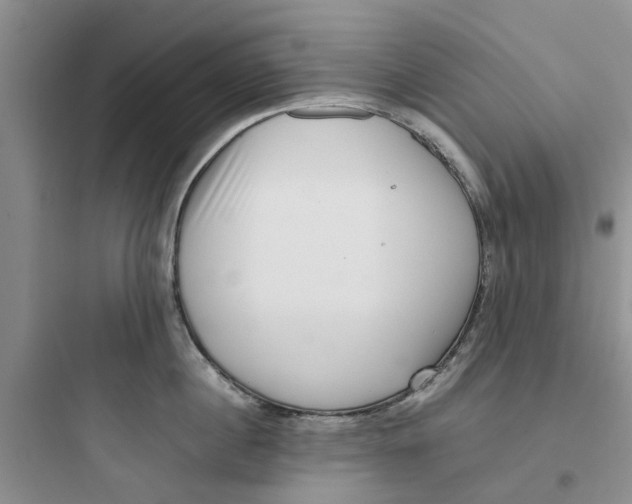 X0000097640860200803211831