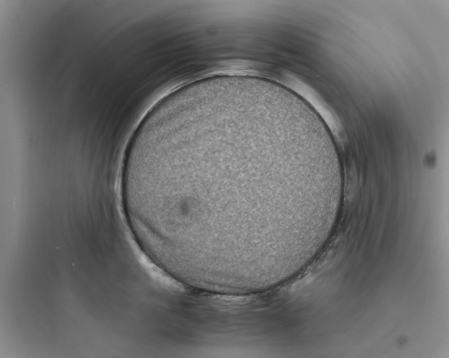 X0000097640861200803211831