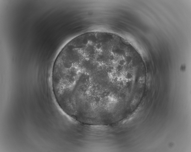 X0000097640863200803211831