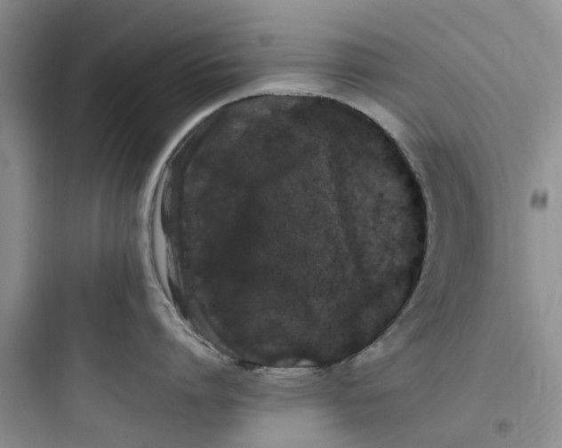 X0000097640864200803211831