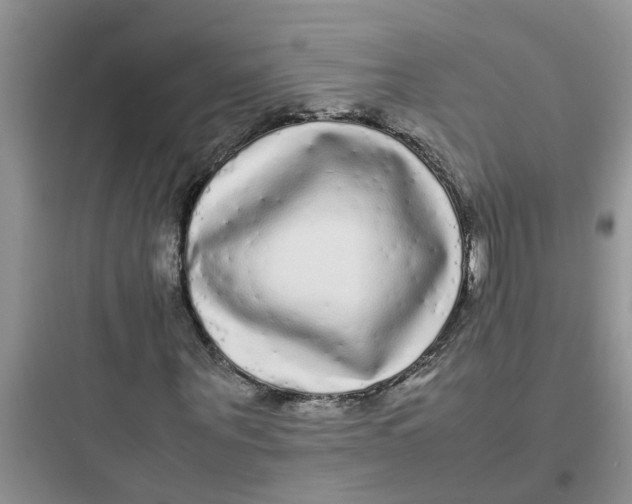 X0000097640867200803211830