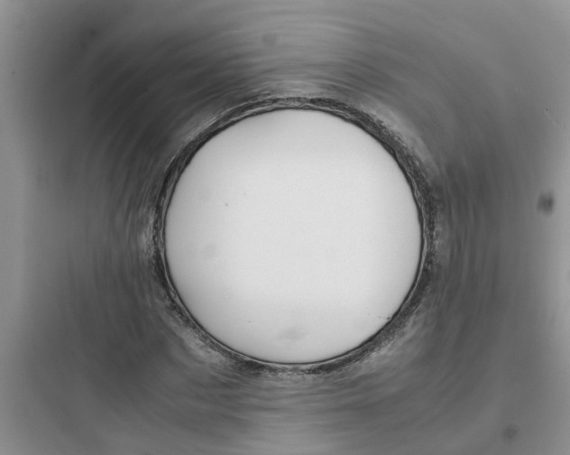 X0000097640873200803211830