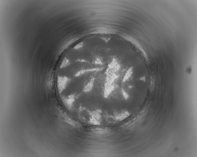 X0000097640874200803211830