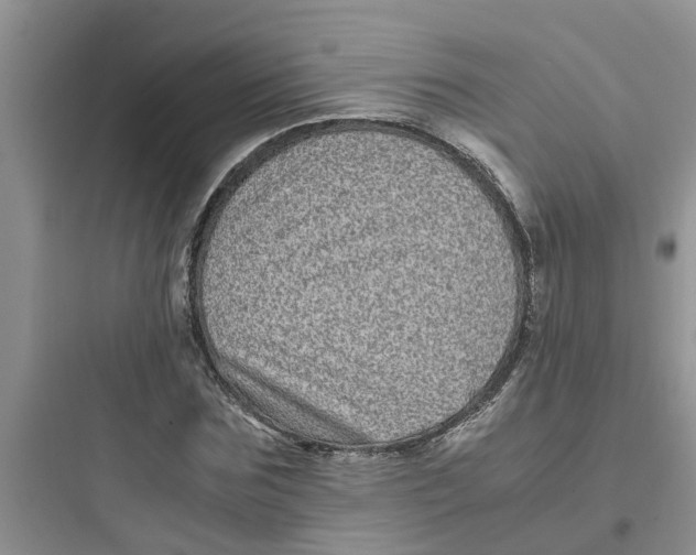 X0000097640875200803211830