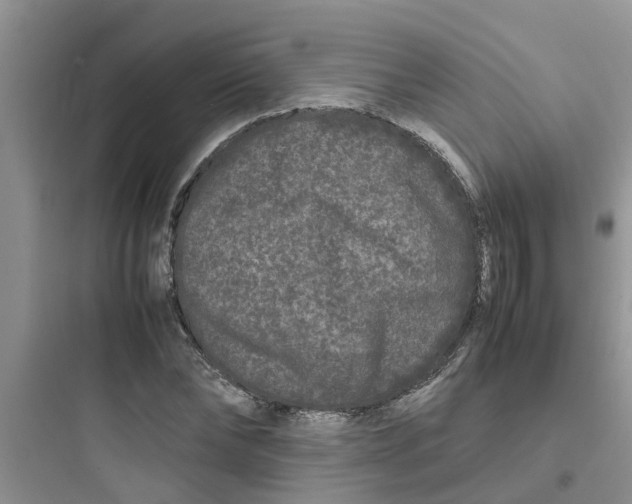 X0000097640878200803211830