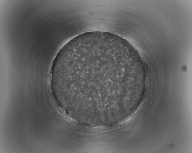 X0000097640879200803211830