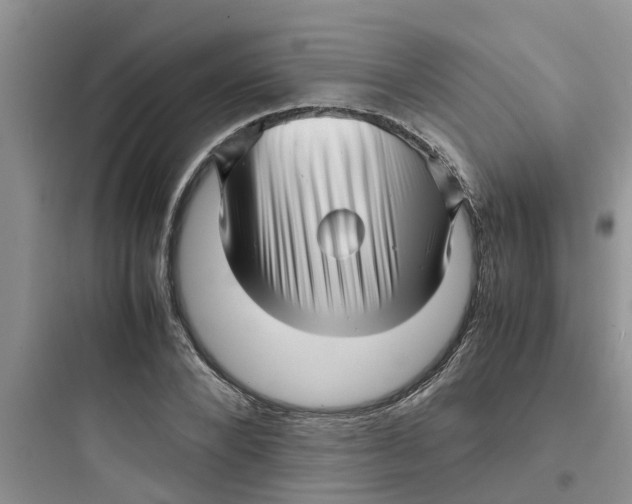 X0000097640880200803211830