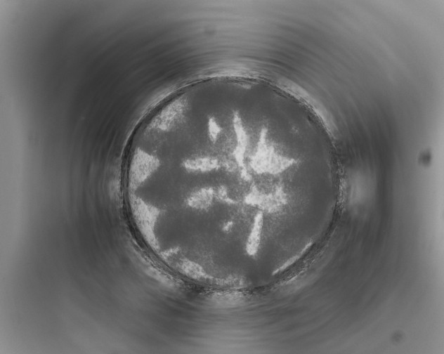 X0000097640882200803211830