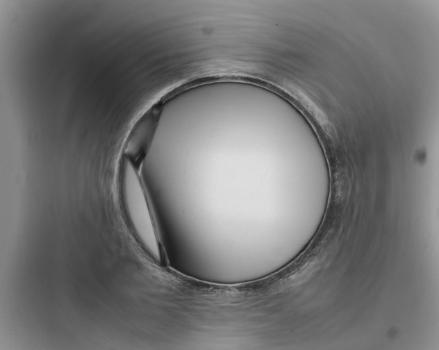 X0000097640885200803211830