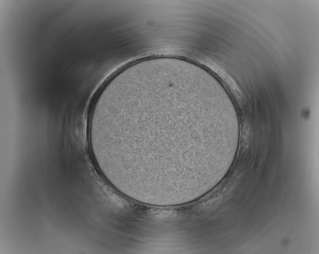 X0000097640886200803211830