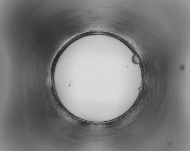 X0000097640887200803211830