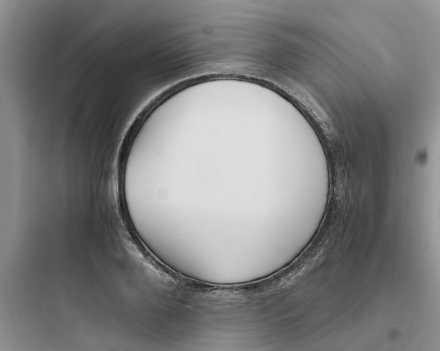 X0000097640888200803211830