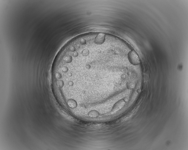 X0000097640891200803211830