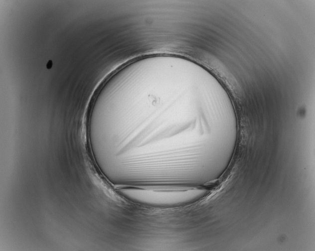 X0000097640892200803211830