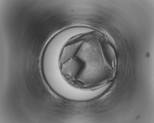 X0000097640893200803211830