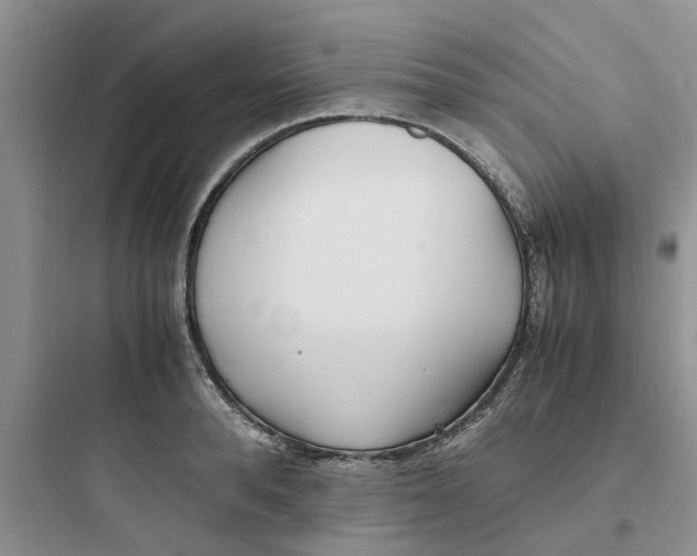 X0000097640896200803211830