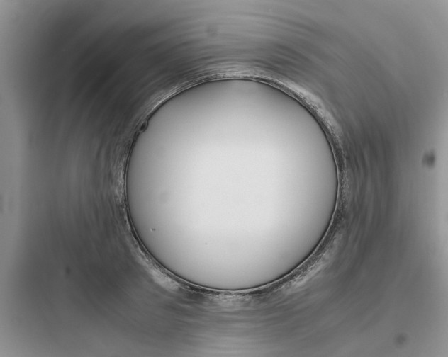 X0000097640897200803211830