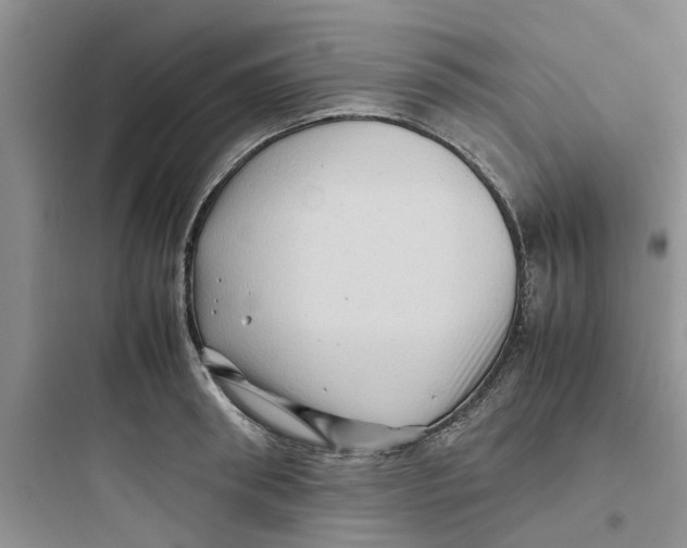 X0000097640898200803211830