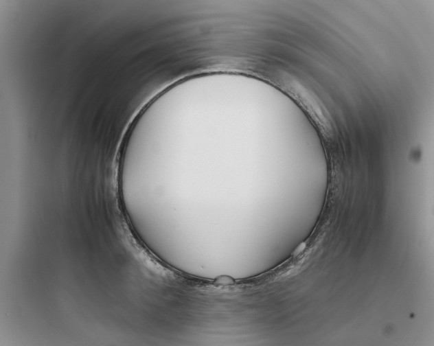 X0000097640900200803211830