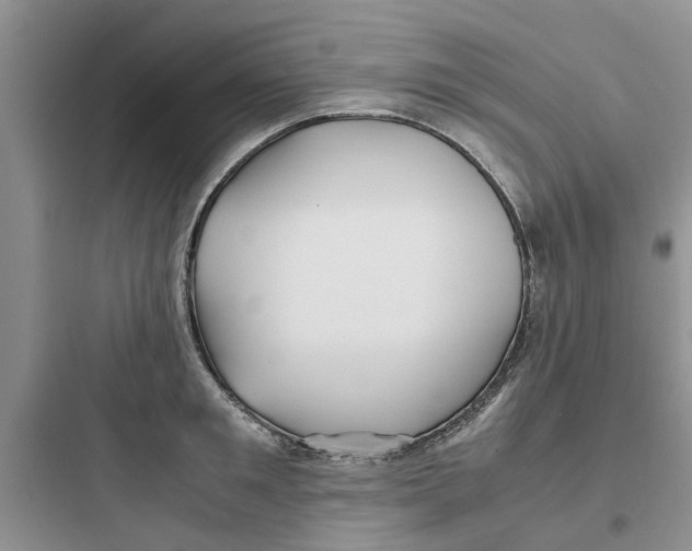 X0000097640901200803211830