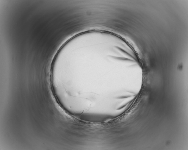 X0000097640903200803211830