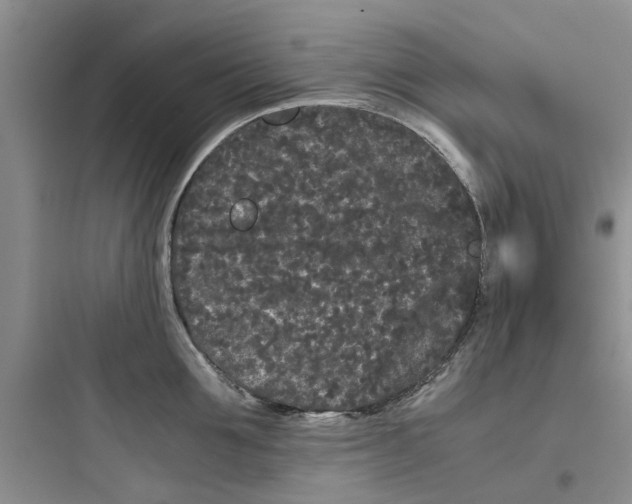 X0000097640907200803211830