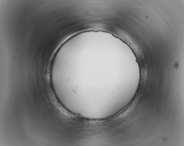 X0000097640908200803211830