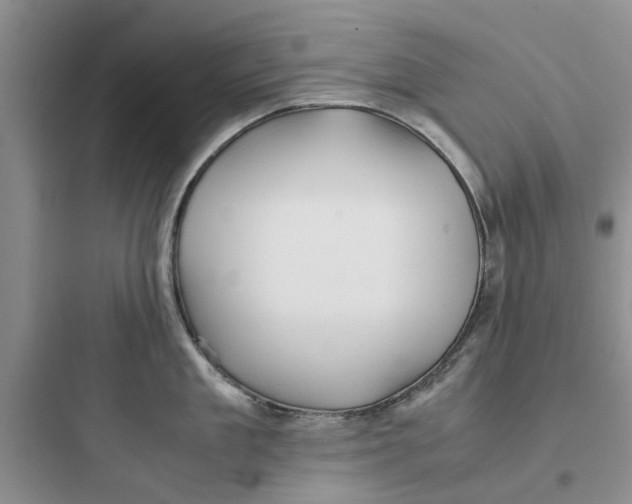 X0000097640909200803211830