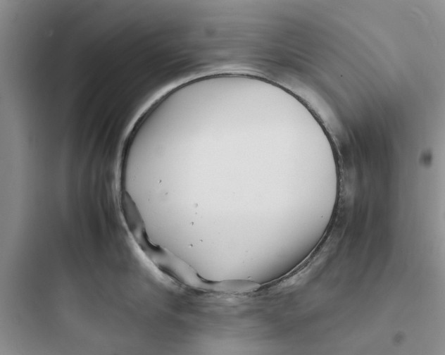 X0000097640910200803211830