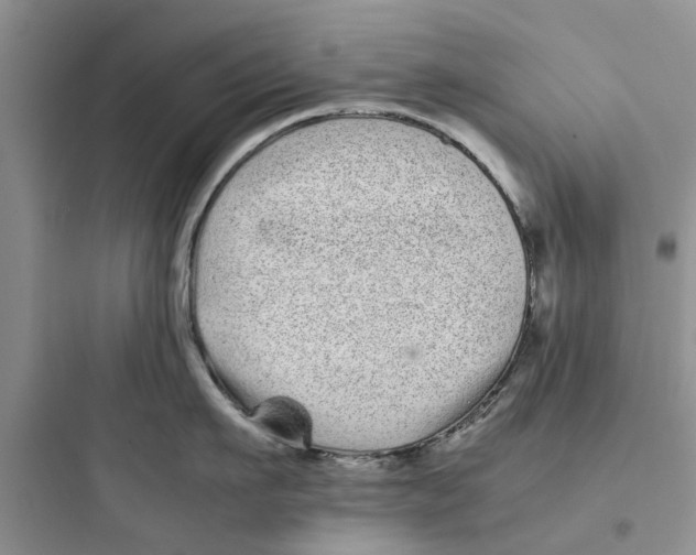 X0000097640911200803211830