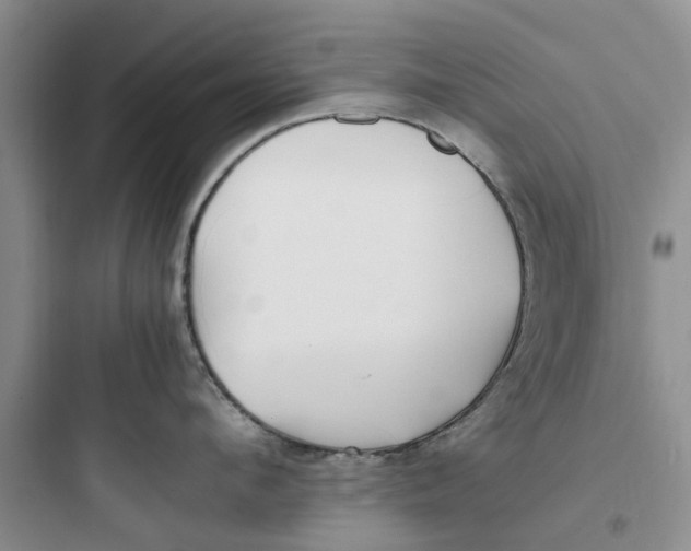 X0000097640912200803211830