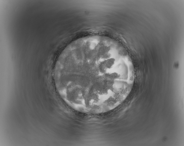 X0000097640913200803211829