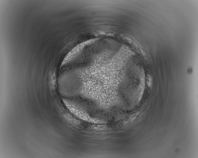 X0000097640915200803211829