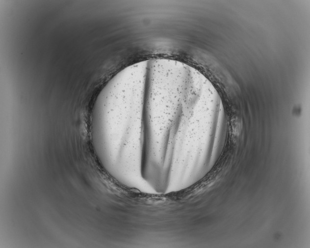 X0000097640916200803211829