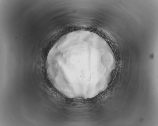 X0000097640917200803211829