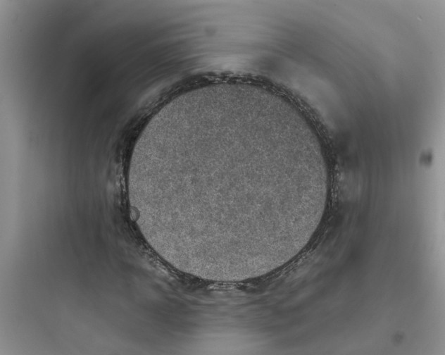 X0000097640918200803211829