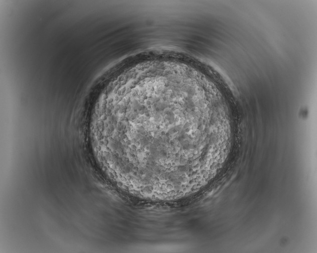 X0000097640919200803211829