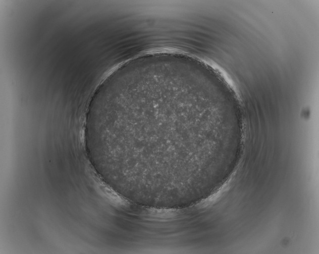 X0000097640921200803211829