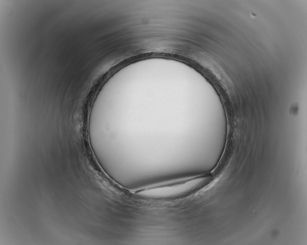 X0000097640922200803211829