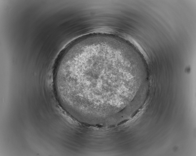 X0000097640923200803211829