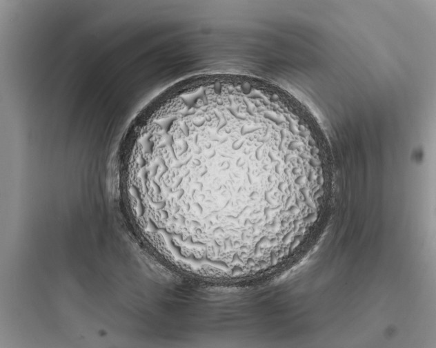 X0000097640925200803211829