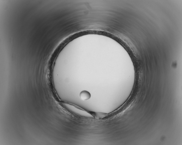 X0000097640926200803211829