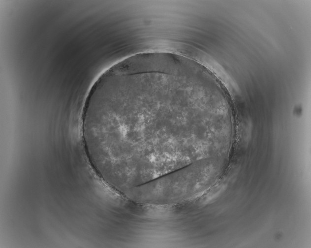 X0000097640928200803211829