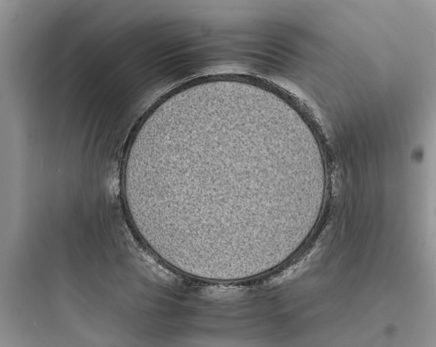 X0000097640929200803211829