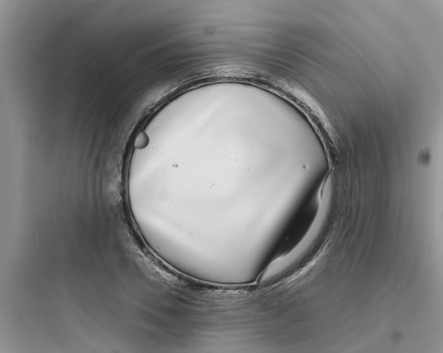 X0000097640930200803211829