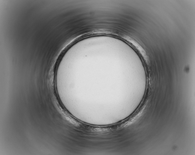 X0000097640933200803211829